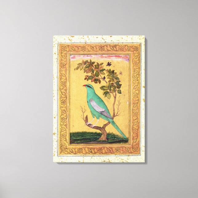 Toile Oiseau vert, Mughal (gouache sur papier) (Recto)