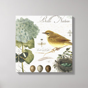 Toile oiseau vintage et nid