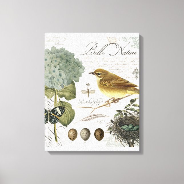Toile oiseau vintage et nid (Recto)