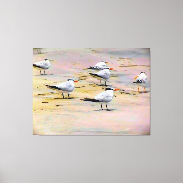 Toile Oiseaux de mer sur une rive tranquille (Recto)