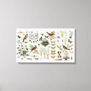 Toile oiseaux et fleurs botaniques français vintages