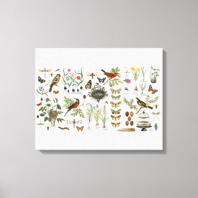Toile oiseaux et fleurs vintages (Recto)
