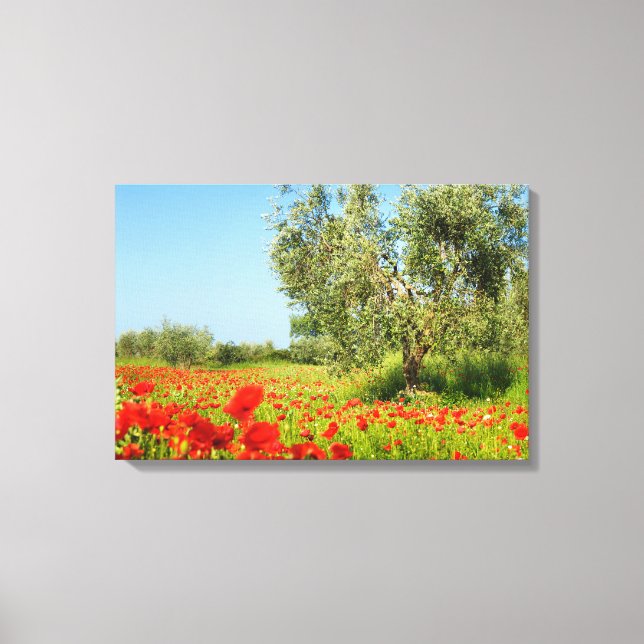 Toile Olive tree in poppy field canvas (Recto)