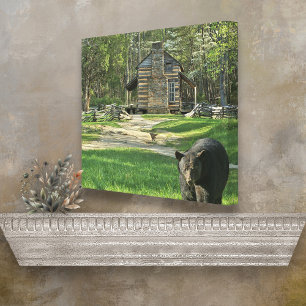 Toile Oliver Cabine Bear Imprimer