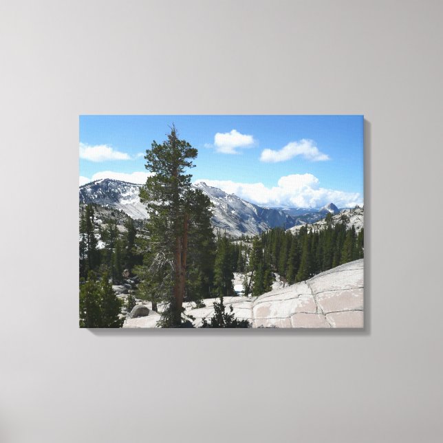 Toile Olmsted Point III dans le parc national de Yosemit (Recto)