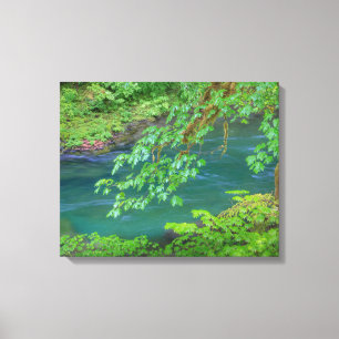 Toile Olympic National Park Washington State