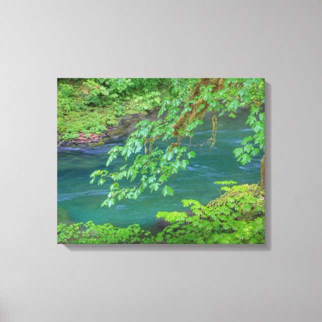 Toile Olympic National Park Washington State (Recto)