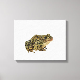 Toile Ombre de grenouille