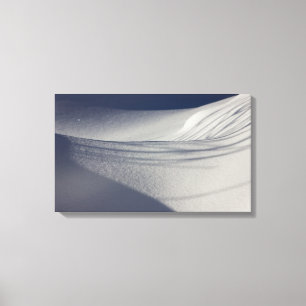 Toile Ombres sur la neige intacte CC0099