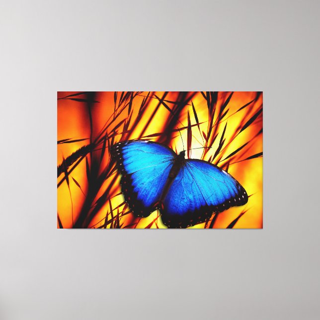 Toile Options Butterfly Art 39 (Recto)