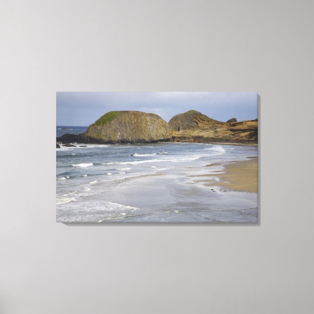 Toile OR, côte de l'Oregon, Seal Rock State Park, (Recto)