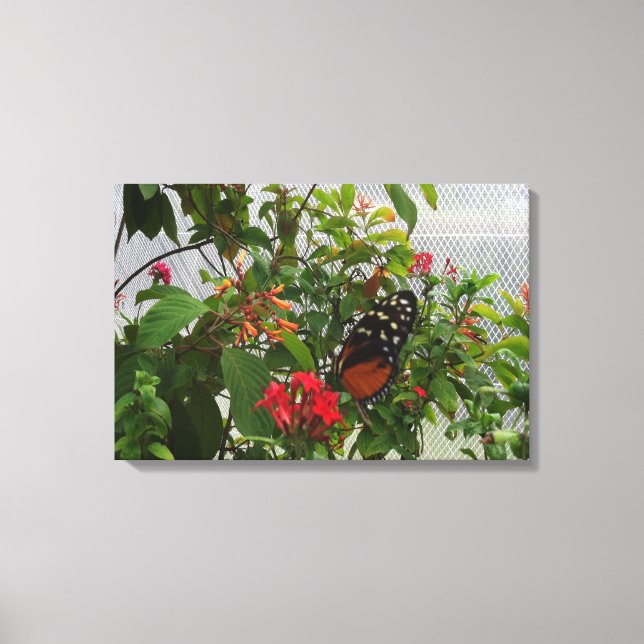 TOILE ORANGE BUTTERFLY (Recto)