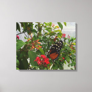 TOILE ORANGE BUTTERFLY