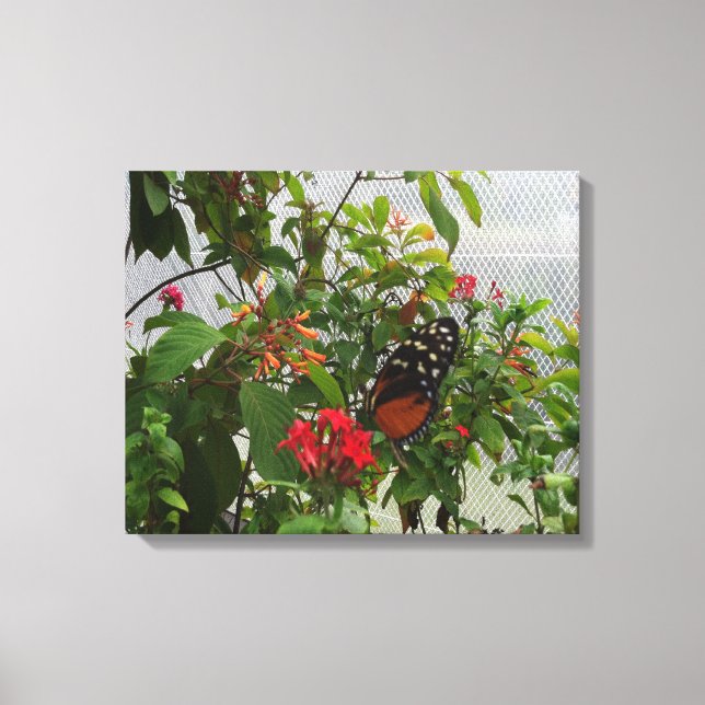 TOILE ORANGE BUTTERFLY (Recto)