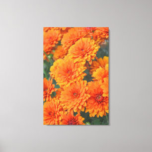 Toile Orange Garden Flowers Mums Art