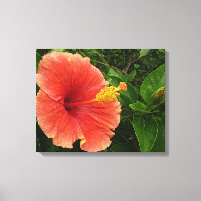 Toile Orange Hibiscus Fleur Tropical Floral (Recto)