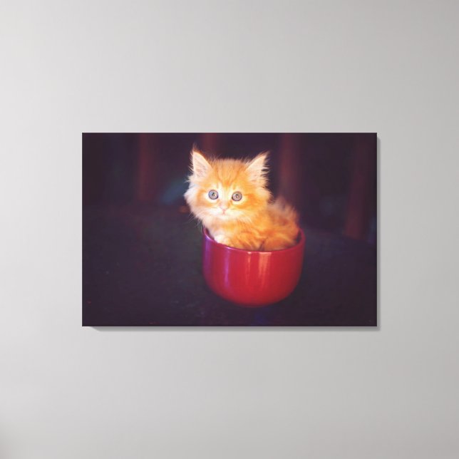 Toile Orange Kitten (Recto)