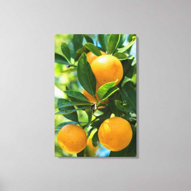 Toile Oranger en fruits (Recto)