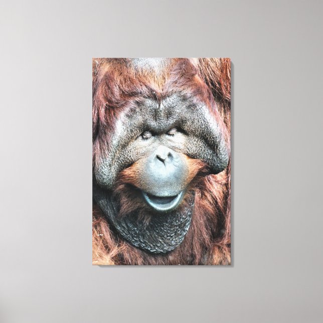 TOILE ORANGUTAN (Recto)
