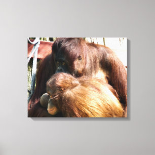 TOILE ORANGUTANS