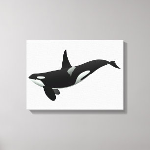 Toile Orca whale illustration - choose background color