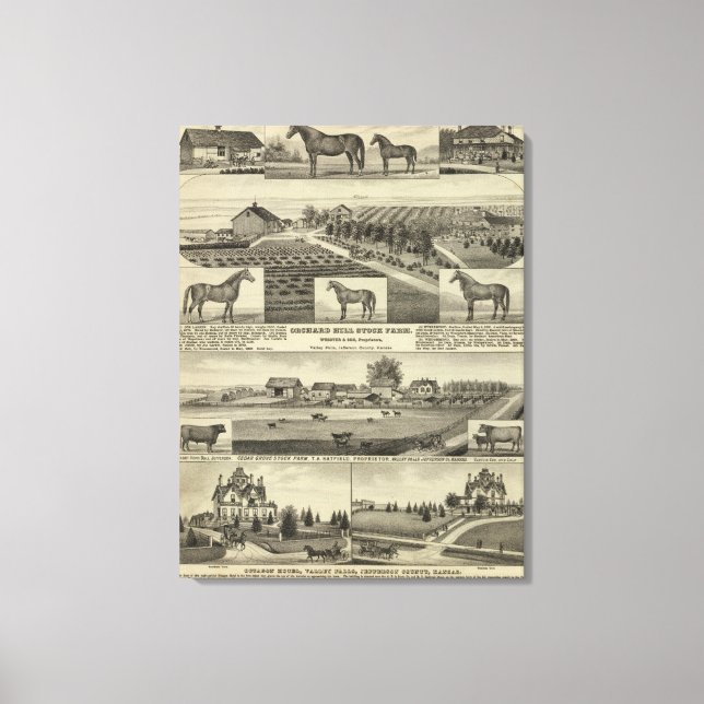 Toile Orchard Hill et Cedar Grove, Kansas (Recto)
