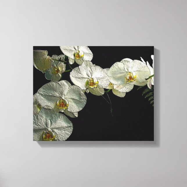 Toile Orchidée et fougère de Phalaenopsis blanc - Art nu (Recto)