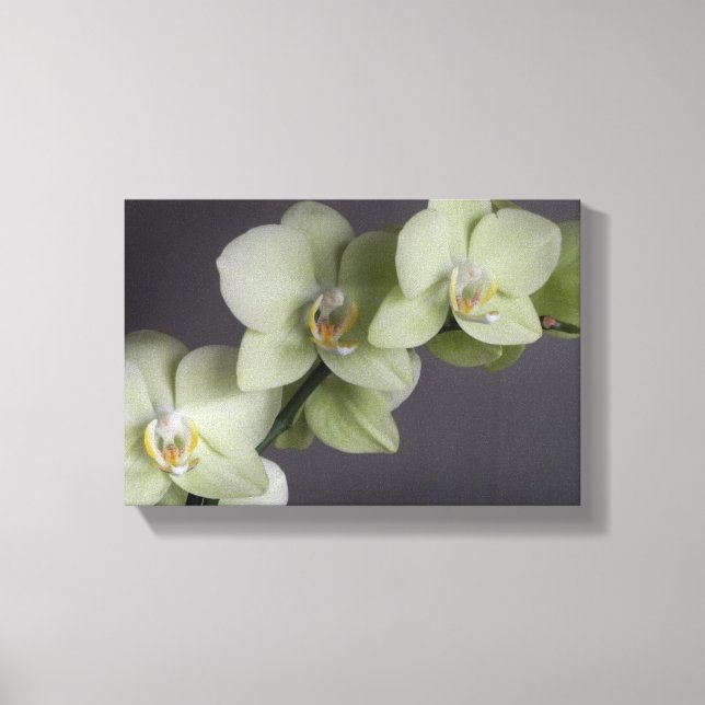 Toile Orchidée fleurit Élégante Humeur Chic (Recto)