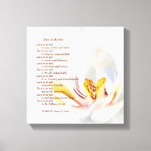 Orchidée "Oser être riche"