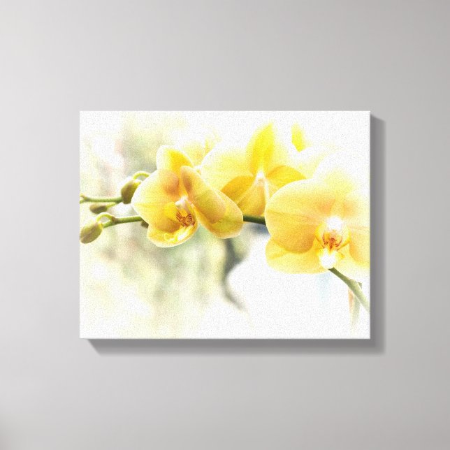 Toile Orchidée papillon jaune au soleil (Recto)