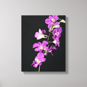 Toile Orchidée pourpre sur l'arrière - plan noir