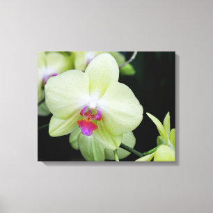 Toile Orchidée verte jaune