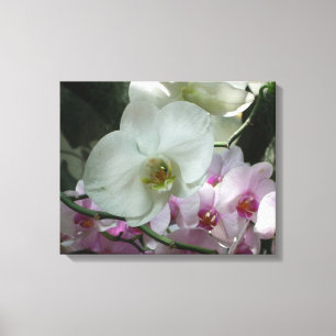 Toile Orchidées blanches et violettes