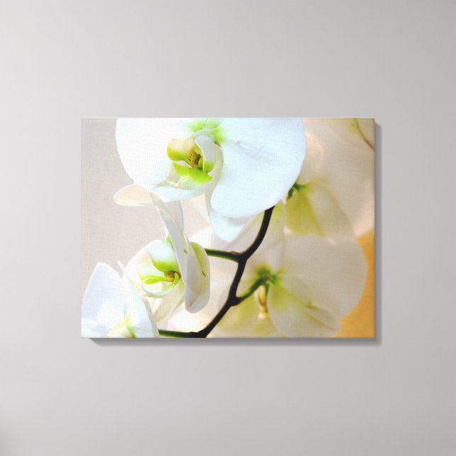 Toile Orchidées Blanches Tropicales Numéro Deux Toiles E (Recto)