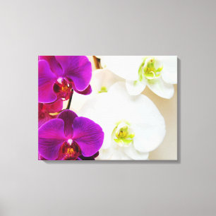 Toile Orchidées blanches tropicales numéro trois