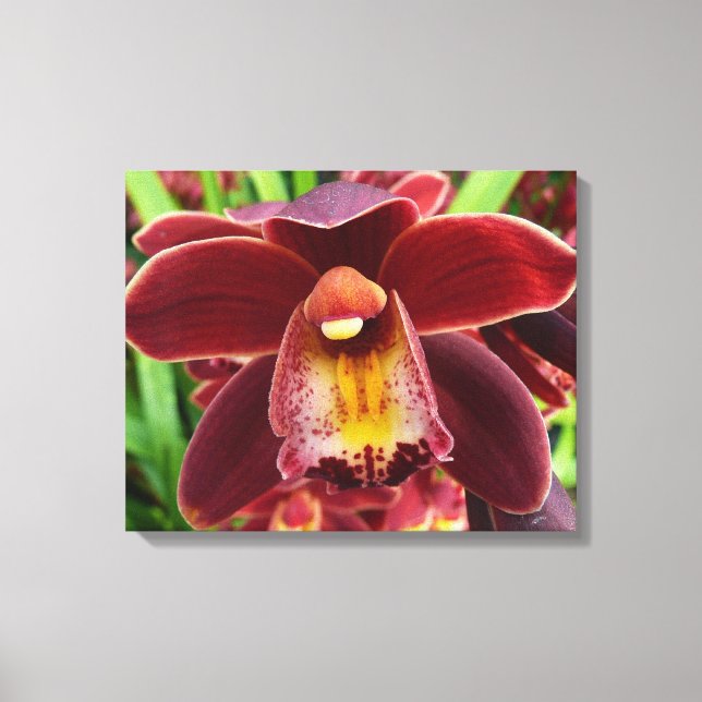 Toile Orchidées de Maroon I Beau Floral Rouge (Recto)
