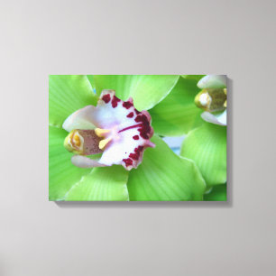 Toile Orchidées vertes