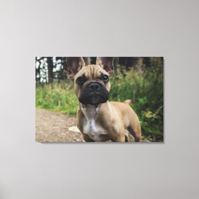 Toile Oreiller de taie French Bulldog (Recto)