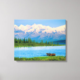 Toile Orignal mâle dans le Wonder Lake