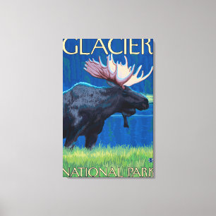 Toile Orignaux la nuit - parc national de glacier, la TA