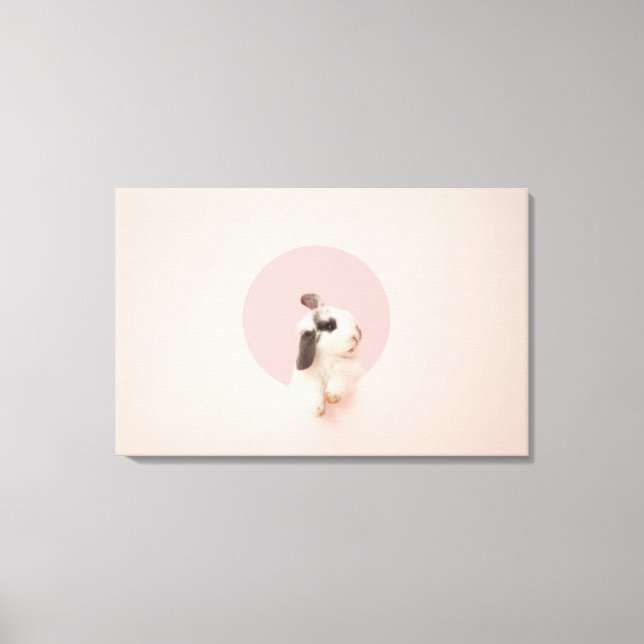 Toile Oryctolagus cuniculus (Recto)