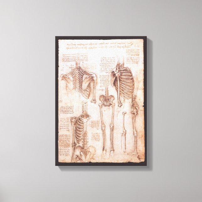 Toile Os de squelette de Léonard de Vinci, anatomie huma (Recto)