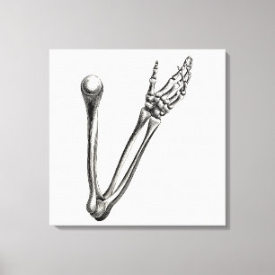 Toile Os vintages en squelette Os Retro Personnalisés