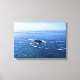 Toile Otter Rock, Cape Foulweather, Newport, Oregon