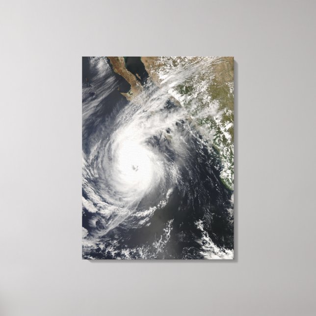 Toile Ouragan Norbert au Mexique 2 (Recto)