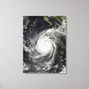 Toile Ouragan Norbert outre du Mexique