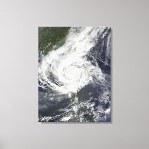Toile Ouragan Parme