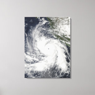 Toile Ouragan Rick