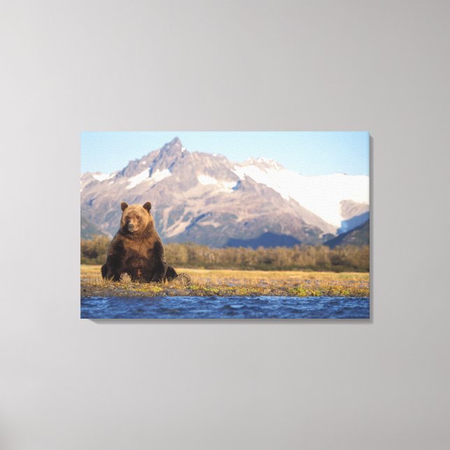 Toile ours brun, Ursus arctos, grizzly, Ursus (Recto)