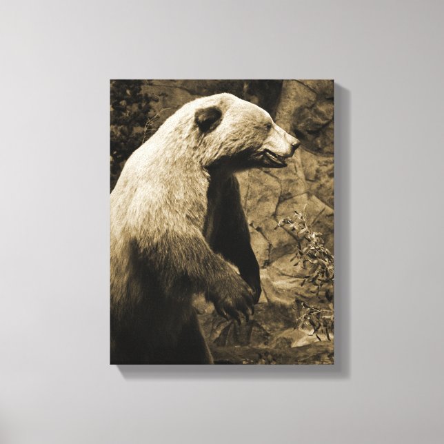 Toile Ours fier (Recto)